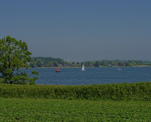 Ausflug an die Schlei